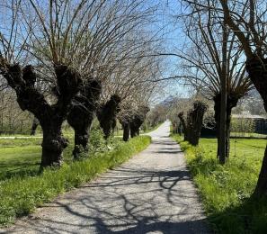 Favola di Natale: i bachi, i gelsi e Ada Negri, seta e terra in valle di Susa