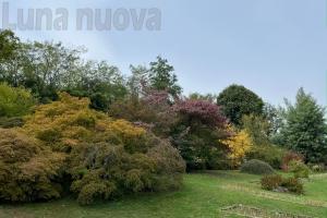 Il mondo in collina: la ricchezza dell’autunno al Giardino Botanico Rea
