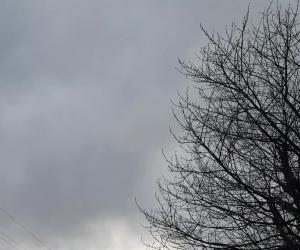 Condove: incendio boschivo tra Sigliodo e Camporossetto, interviene l'elicottero