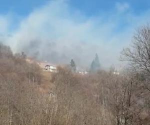 Incendio sulla montagna di Rubiana: il fumo avvolge i boschi del Colle del Lys