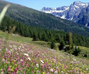Parco Alpi Cozie, è subito commissariamento