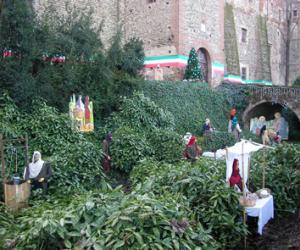 Vandali rubano una statua del presepe