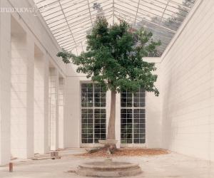Project prints: le foto di Luigi Ghirri al Castello