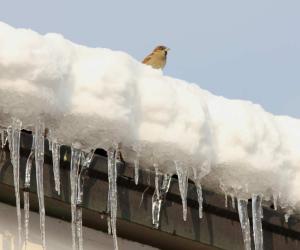 Nevicata: pochi disagi, ma nel week-end arriva il grande freddo