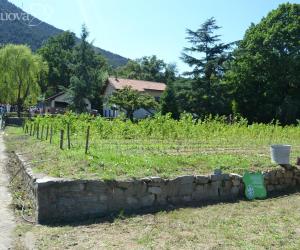 Un centro per l'ippoterapia sul monte San Giorgio