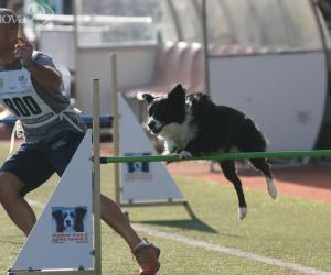 Agility-dog: Luca e Maggie sul tetto del mondo