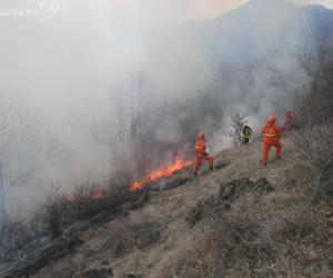Boschi in fiamme sulla collina della Seja