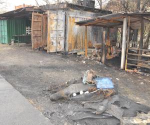 Piromani scatenati, una notte di fuoco