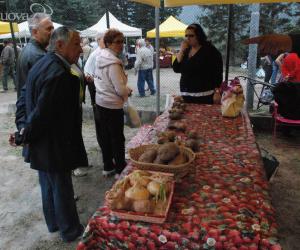La patata si fa in due tra Sauze d'Oulx e Novalesa