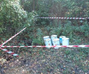 Rifiuti tossici abbandonati nel castagneto