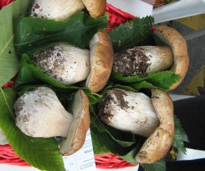Sagre nelle valli: tocca a Giaveno, Almese e Oulx