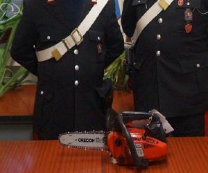 Aggredisce il cognato con la motosega: arrestato
