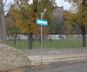 Guerra a quattro zampe nei giardini