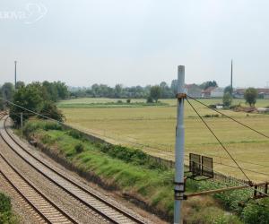 Dalle Gru al San Luigi con il treno