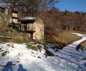 C'è una strada nel bosco... ed è guerra