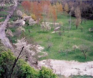 Il Cels insorge contro la cementificazione