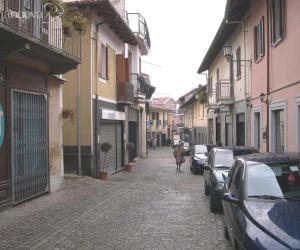 Due cortei e fiaccole contro il 'pizzo'