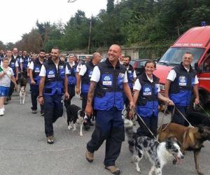 Si sfidano i fuoriclasse a quattro zampe