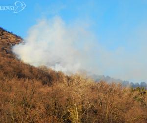 Fuoco senza fine sulle pendici del Musinè