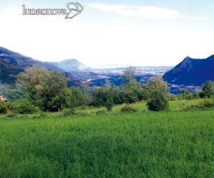 Terreni agricoli, la mannaia già a gennaio