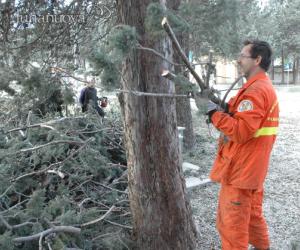 Vento forte in valle, danni e incendi