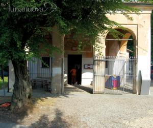 Fungo mortale, abbattuto l'albero
