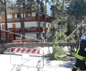 Vento a 120 km/h in valle per quattro giorni: la conta dei danni