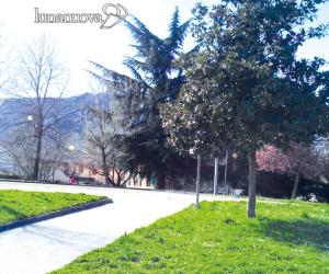 Decoro urbano: «I cittadini aiutino il Comune»