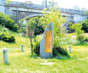 Oltraggio ai caduti: rubata la targa dal monumento