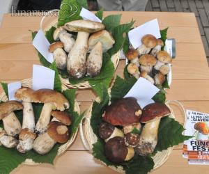 Tessera funghi, per i boulajour: in valle niente sconto