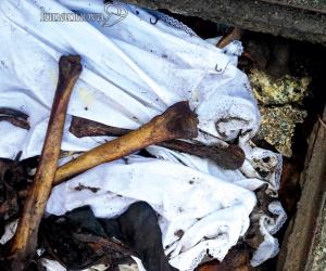 Dossier M5S: quanto degrado al cimitero