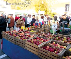 Le ultime sagre valsusine baciate dall'estate di San Martino