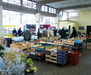 Anche al mercato arriva la raccolta differenziata