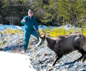 Cheratocongiuntivite infettiva: di nuovo a rischio i camosci valsusini