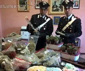 Coltiva due serre di marijuana: arrestato
