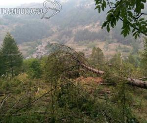 Oulx, tagliano il larice e "spengono" la luce
