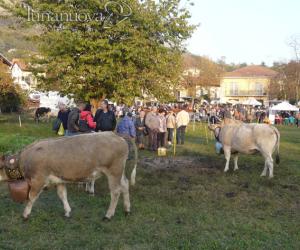 Milanere, fiera agricola: una terza edizione da record