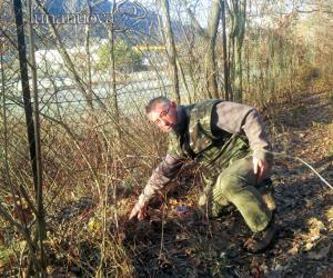 S.Giorio: faccia a faccia con il lupo in riva alla Dora