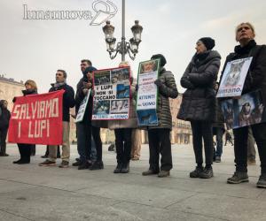 Consulta, per lupi e ambientalisti arriva una mezza vittoria 