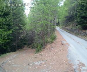 Silvia ritrovata morta nel bosco sulla strada che da Oulx sale al Cotolivier