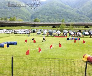 Ultime "Orme" a Borgone: ora i cani devono traslocare
