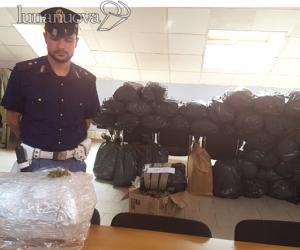 Rivoli, 255 chili di marijuana nascosti in un garage di Cascine Vica