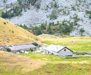 Mattie: la corsa ai fondi europei costa il pascolo al margaro locale