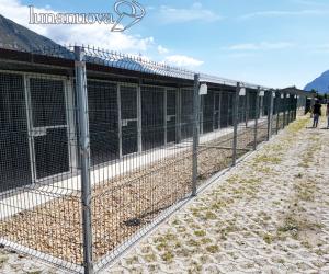 Almese, cani terremotati: «Non diamo fondi, poca trasparenza»