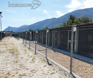 S.Antonino, i cani "terremotati" a oggi non ci sono: Almese alza il tiro