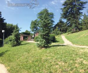 Rivoli, patto Comune-Legambiente per gli alberi 