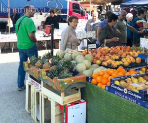 Collegno, il mercato del sabato in piazza Torello diventa "smart"