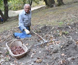 Appello da S.Giorio: «Siamo indifesi contro i cinghiali»
