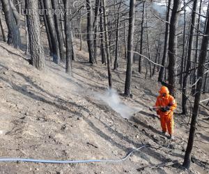 All'Unione montana la regia del post-incendi: intesa tra i sindaci