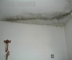 Orbassano: vivere nella muffa. La ‘condanna’ di una famiglia Atc